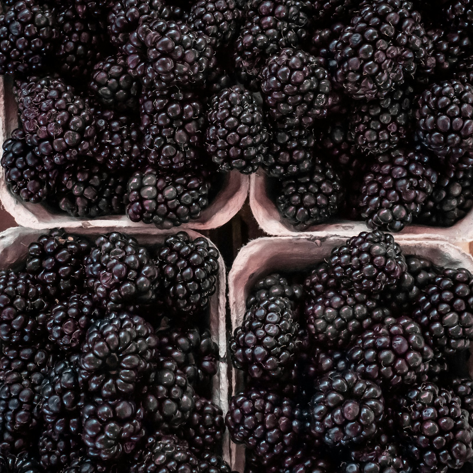 Антоцианы (anthocyanins) — продукт 1