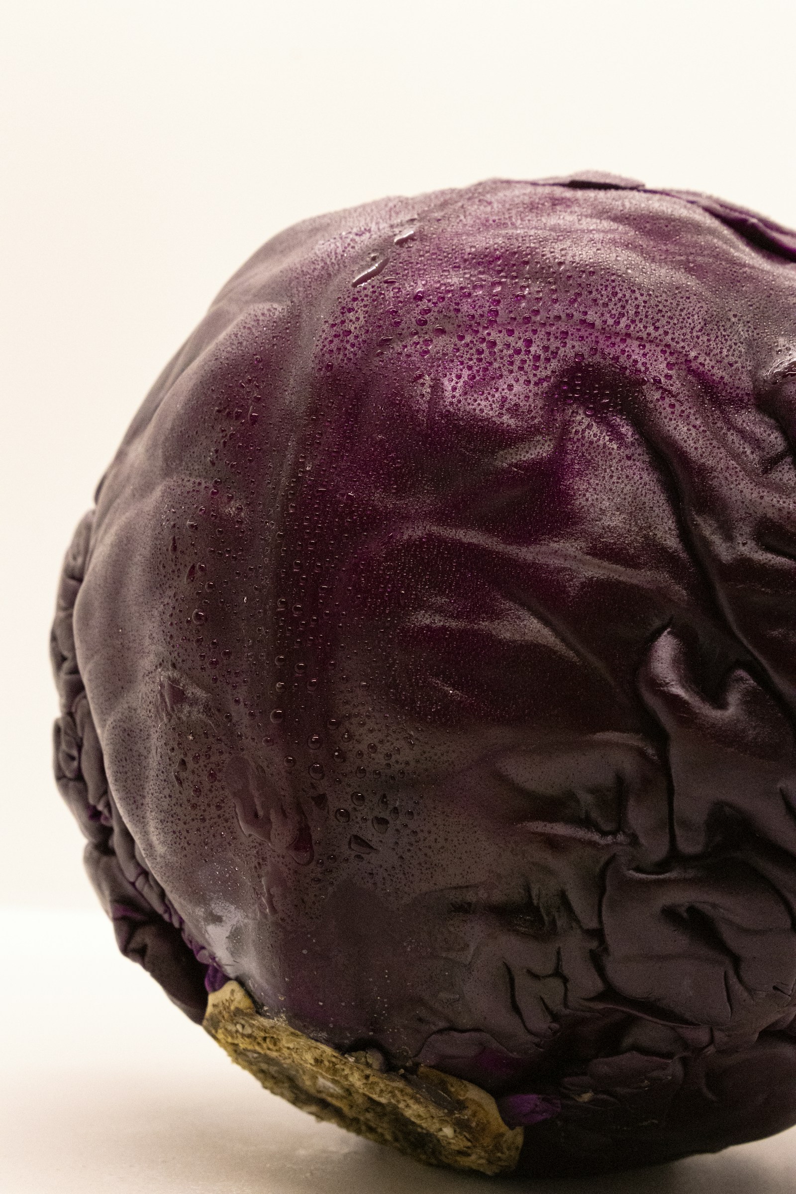Антоцианы (anthocyanins) — продукт 2