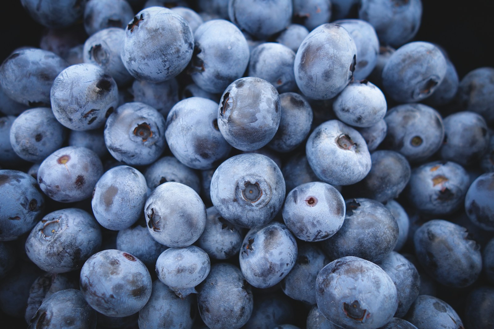 Антоцианы (anthocyanins)