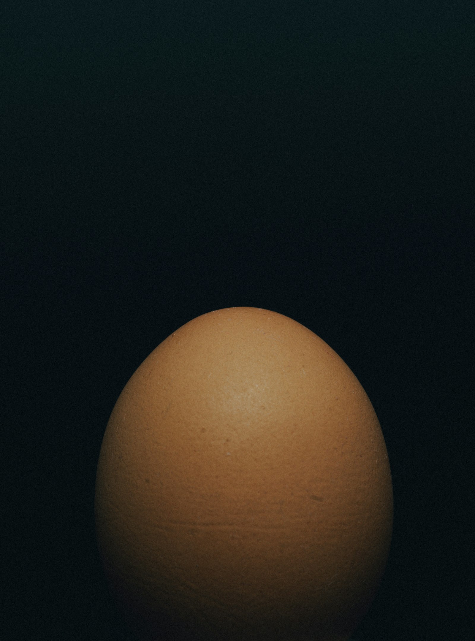 Лецитин (lecithin)