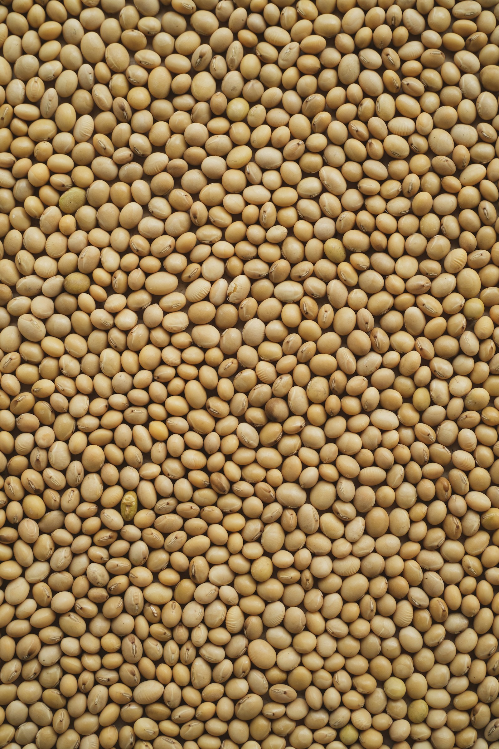 Лейцин (leucine) — продукт 3