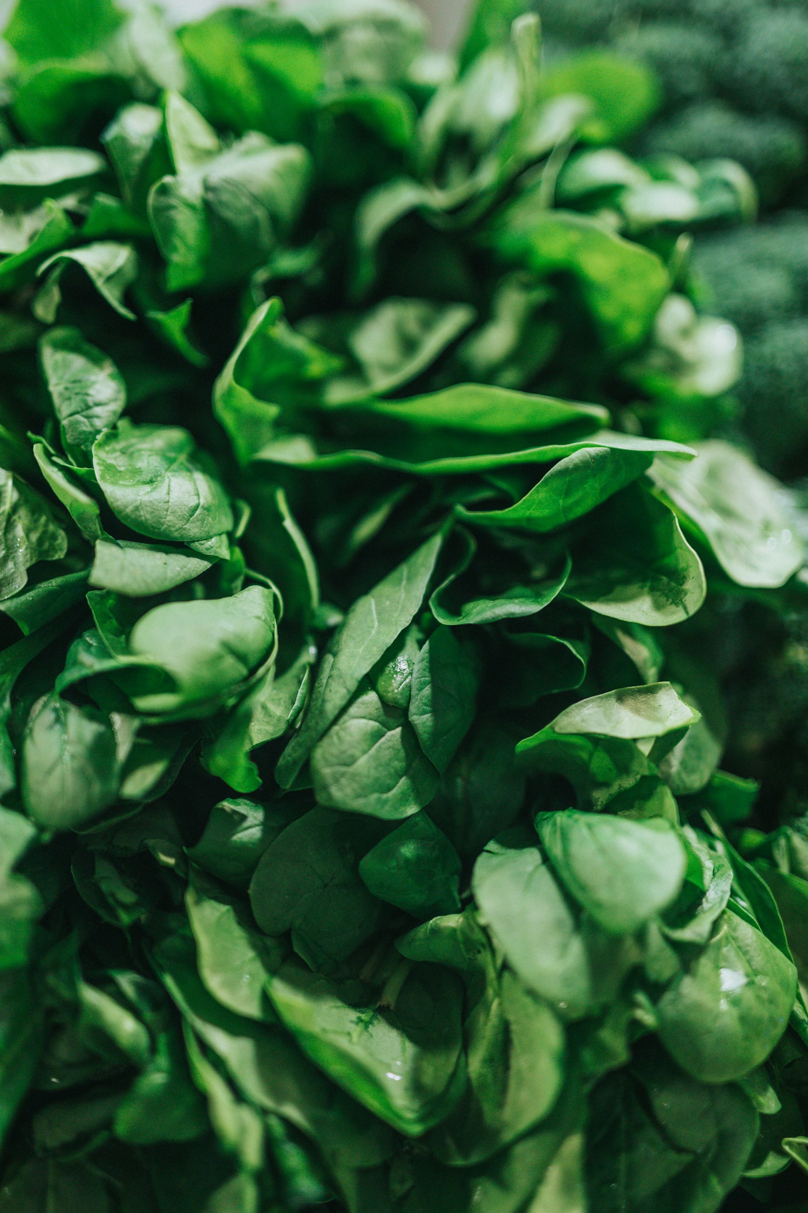Лютеин (lutein)
